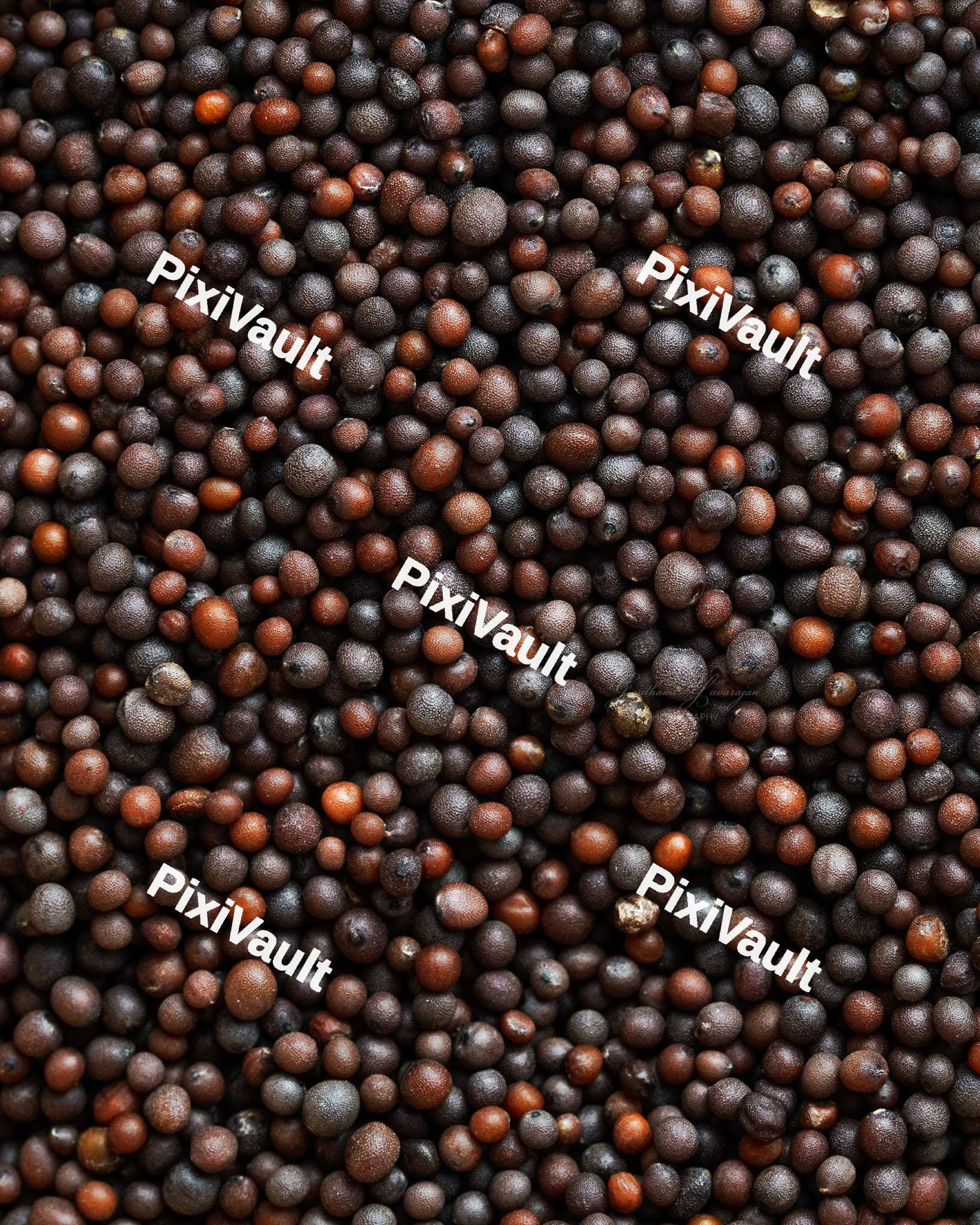 Brown Mustard Seeds